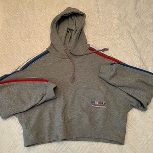 Adidas Gray Hoodie with Multicolor Logo